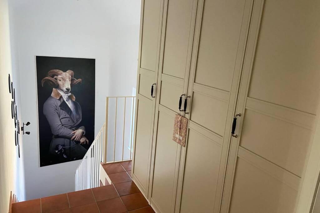 Terrassen Appartement Ueber Den Daechern Von Krems Eksteriør billede